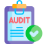 Medical Billing Audit